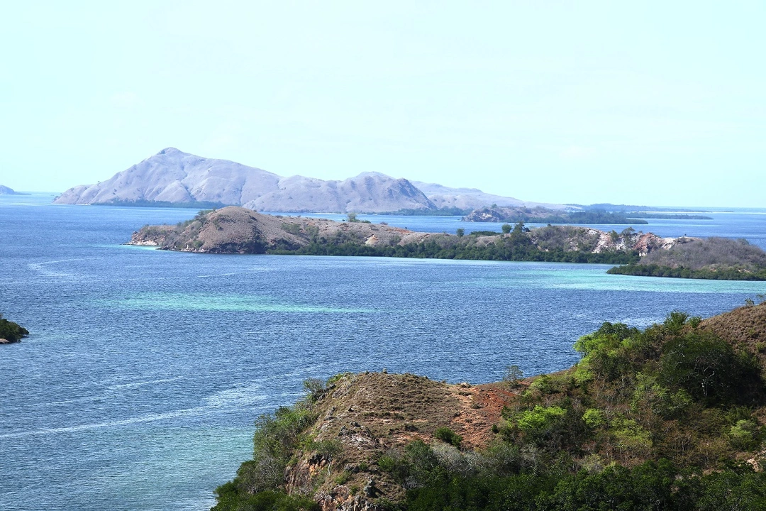 0T6A6516.webp