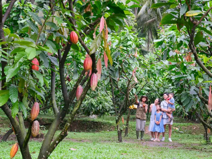 Mini Farm @ Factory.png