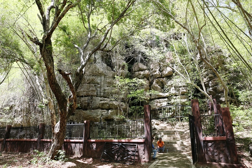 0T6A6741.webp
