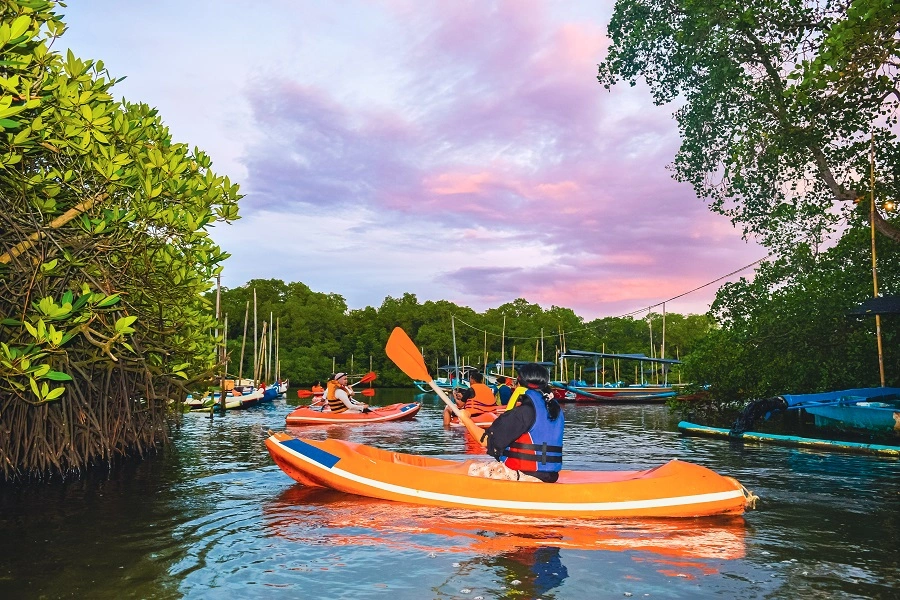 Kayakers paddle through calm waters near the mangrove shoreline during dusk. The sky displays hues of pink and purple as the sun sets. One kayaker in the foreground, wearing a blue life vest, paddles in an orange kayak, while other kayakers and colorful boats are seen in the distance. The mangroves and a large tree frame the image, and some anchored boats are visible in the background