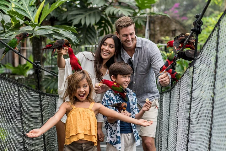 family-fun.webp