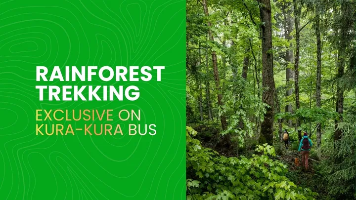 Batukaru Rainforest Trekking.webp