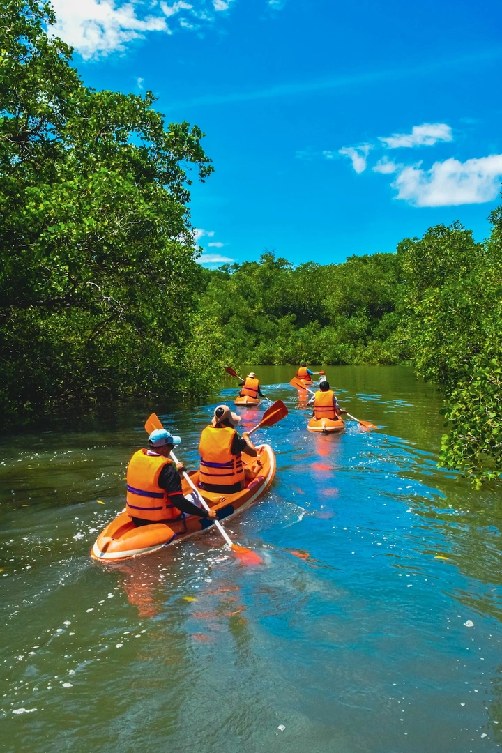Guided canoe tour in Bali mangrove forest