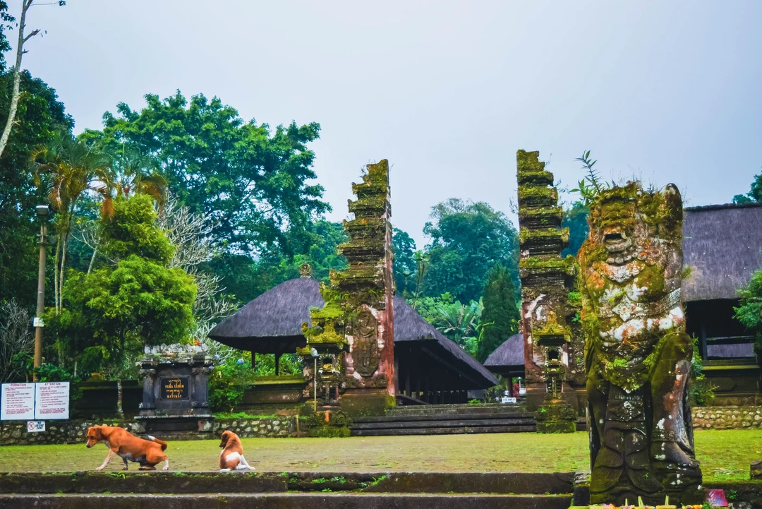 DSC_0516.jpg