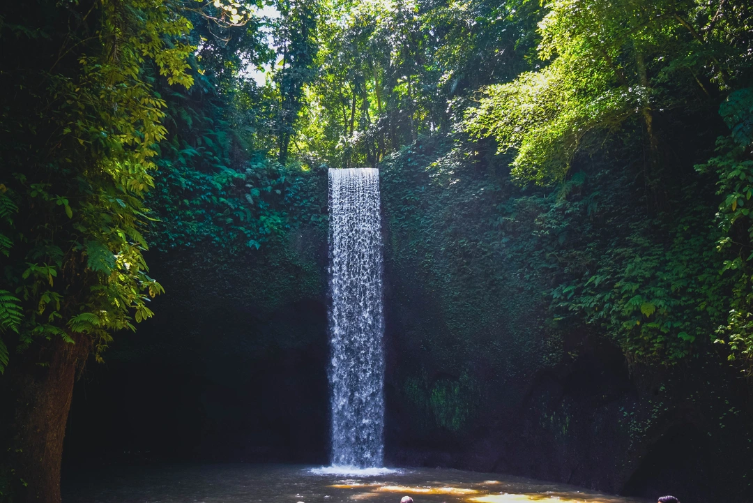 A single, straight waterfall plunges into a serene pool below, framed by the lush greenery of a tropical forest. The sunlight filters through the foliage, highlighting the clear water and the peaceful, natural setting