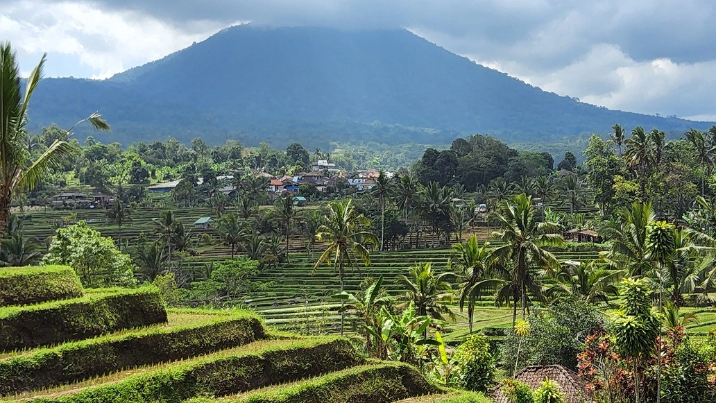 A photo of Batukaru Mountain at Jatiluwih Rice Terrace with palm trees and rice fields in the foreground.

This is a beautiful image of one of the most scenic places in Bali, Indonesia. Batukaru Mountain is the second highest mountain on the island and is considered sacred by the Balinese people. Jatiluwih Rice Terrace is a UNESCO World Heritage Site that showcases the traditional subak irrigation system. The green and yellow colors of the rice fields contrast with the blue sky and the lush mountain.