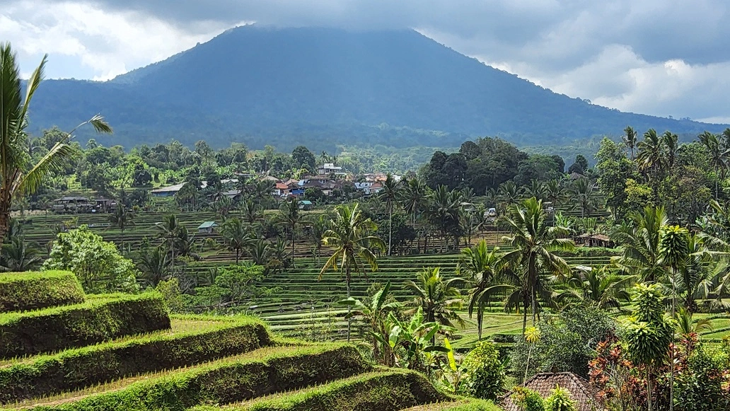 A photo of Batukaru Mountain at Jatiluwih Rice Terrace with palm trees and rice fields in the foreground.</p>
<p>This is a beautiful image of one of the most scenic places in Bali, Indonesia. Batukaru Mountain is the second highest mountain on the island and is considered sacred by the Balinese people. Jatiluwih Rice Terrace is a UNESCO World Heritage Site that showcases the traditional subak irrigation system. The green and yellow colors of the rice fields contrast with the blue sky and the lush mountain.